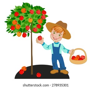 Happy child gardener collects red apples