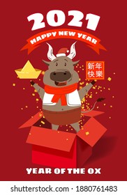 Happy Chinese 2021 new year greeting card. Year of the ox. Cute bull and open red gift boxg confetti gold money. Chinese zodiac symbol traditional holidays cartoon character. Translation - Happy New