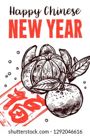 Happy Chinese lunar new year sketch greeting card with symbols of fortune, luck, wealth and spring festival. Vector hand drawn engraving illustaration with mandarins and red envelope with money