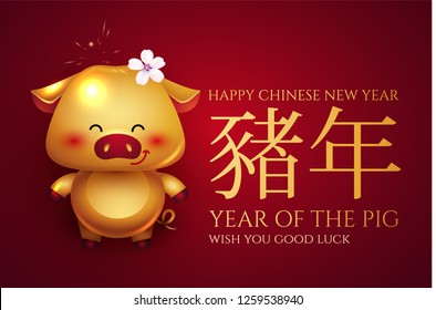 Happy Chinese New 2019 Year. Invitation Card Template with Gold Pig. Cute Character. Zodiac Sing. Vector illustration