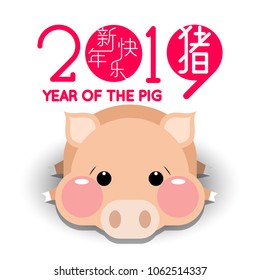 Happy Chinese new year 2019, year of the pig with cute cartoon pig.  Chinese wording translation: happy Chinese new year & pig.