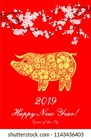 Happy Chinese new year 2019 card. Celebration red background with yellow pig, white flower and place for your text. Cherry blossom. Sakura. 2019 Chinese New Year of the pig. Vector Illustration