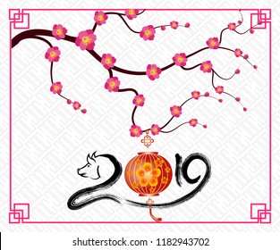 Happy  Chinese New Year  2019 year of the pig.  Lunar new year