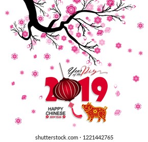 Happy  Chinese New Year  2019 year of the pig.  Lunar new year