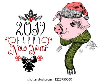 Happy Chinese new year 2019 of piglet greeting card