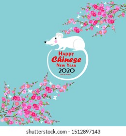 Happy Chinese new year 2020 card. Celebration mint background with rat, pink flower and place for your text. Cherry blossom. Sakura. 2020 Chinese New Year of the mouse. Vector Illustration