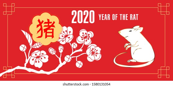Happy Chinese new year 2020. Year of the rat. Cute Rat and Chinese words design for greetings card, flyers, invitation, brochure, banners. Chinese Translation: Happy Chinese new year 