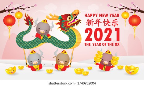 Happy Chinese new year 2021 of the ox zodiac poster design with Cute cow firecracker and dragon dance. the year of the ox greeting card holidays isolated on Background, Translation: Happy New Year.
