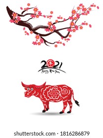 Happy chinese new year 2021 with cherry blossom flower year of the Ox. (Chinese translation : Ox)