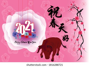Happy chinese new year 2021 with cherry blossom flower year of the Ox. (Chinese translation : Happy new year)
