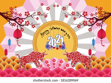 Happy chinese new year 2021 with cherry blossom flower year of the Ox.