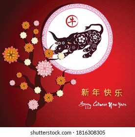 Happy chinese new year 2021 with cherry blossom flower year of the Ox. (Chinese translation : Happy new year)