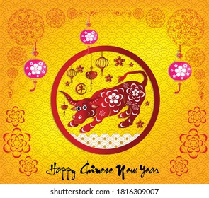 Happy chinese new year 2021 with cherry blossom flower year of the Ox. (Chinese translation : Ox)