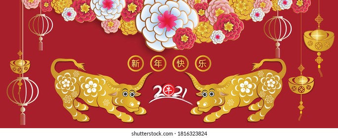 Happy chinese new year 2021 with cherry blossom flower year of the Ox. (Chinese translation : Happy new year)