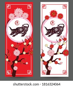 Happy chinese new year 2021 with cherry blossom flower year of the Ox. (Chinese translation : Ox)
