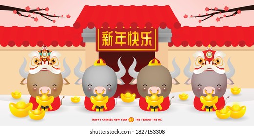 Happy Chinese new year 2021, little ox and lion dance holding chinese gold ingots, the year of the ox zodiac,cute cow Cartoon calendar isolated vector illustration, Translation: Happy Chinese new year