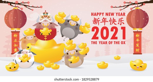 Happy Chinese new year 2021, little ox and lion dance holding chinese gold ingots, the year of the ox zodiac,cute cow Cartoon calendar isolated vector illustration, Translation: Happy Chinese new year