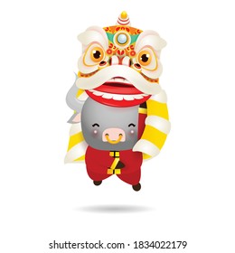 Happy Chinese new year 2021 the year of the ox, cute Little cow performs Lion Dance, greeting card zodiac Cartoon vector illustration isolated on white background.