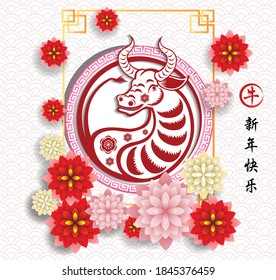 Happy chinese new year 2021 with cherry blossom flower year of the Ox. (Chinese translation : Happy new year; Ox)