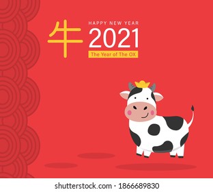 Happy Chinese New Year 2021 greeting card, year of the ox. Cute cow, ox, animal holiday cartoon character vector.
