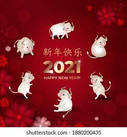 Happy Chinese New Year 2021. Set of cute white oxes. Bulls in different poses in circle with flowers on red background. Asian patterns. Chinese characters: Happy New Year. Vector illustration.