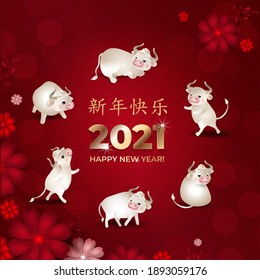 Happy Chinese New Year 2021. Set of cute white oxes. Bulls in different poses in circle with flowers on red background. Asian patterns. Chinese characters: Happy New Year. Vector illustration.