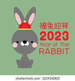 Happy Chinese new year 2023, the year of the rabbit zodiac. Little bunny greeting card, poster, banner, brochure, calendar. Translation text "Good luck in the year of the rabbit". Vector illustration.