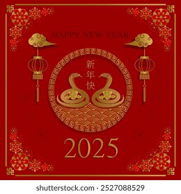 Happy Chinese New Year 2025, Year of the Snake, may everything be filled with wealth and abundance.