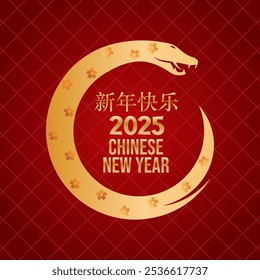 Feliz año Nuevo chino 2025 (新年快乐xin nian kuai le). Año del Vector de la Serpiente. Año del Vector de la serpiente de madera.