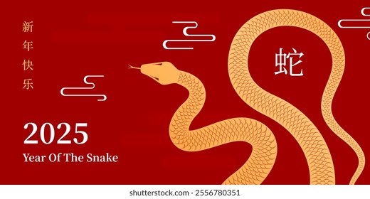 Happy Chinese New Year 2025 year of the snake. Lunar new year with snake zodiac illustration on red background. Vector design. Chinese translation: Happy chinese new year