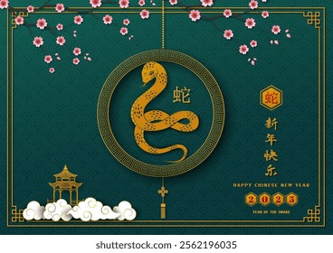 Happy Chinese new year 2025,Snake Lunar New Year themed on asian background,Chinese translate mean Happy new year 2025,Year of the snake,vector illustration