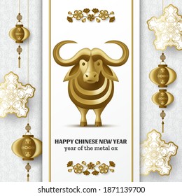 Happy Chinese New Year background with creative golden metal ox, sakura branches with flowers and hanging lanterns. Gold colored template. Vector illustration