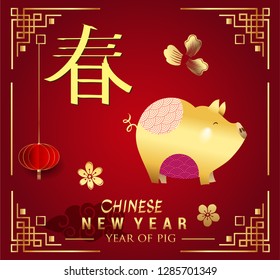 Happy Chinese New Year greeting card with traditional asian patterns, oriental flowers and clouds on red. Vector illustration. Hieroglyph - Zodiac Sign Pig