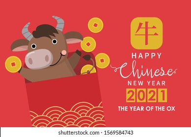 Happy Chinese new year greeting card. 2021 Ox zodiac. Cute bull, male cow and gold money. Animal holidays cartoon character. Translate: Ox. -Vector