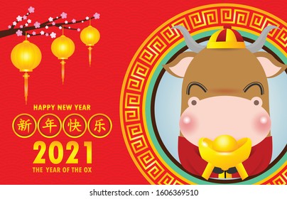 Happy Chinese new year greeting card. Little ox holding Chinese gold, Happy new year 2021 year of the ox zodiac isolated on red Background, Translation: Happy New Year.