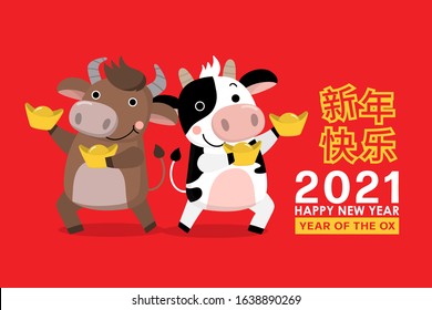 Happy Chinese new year greeting card. 2021 Ox zodiac. Cute cow and gold money. Animal holidays cartoon character. Translate: Happy New Year. -Vector