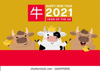 Happy Chinese new year greeting card. 2021 Ox zodiac. Cute cow and gold money. Animal holidays cartoon character. Translate: Ox.  -Vector