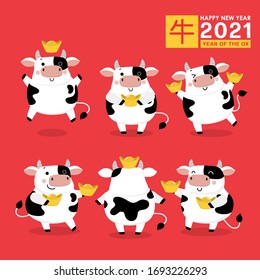 Happy Chinese new year greeting card. 2021 Ox zodiac. Cute cow with gold money on red background. Animal holidays cartoon character set. Translate: Ox. -Vector