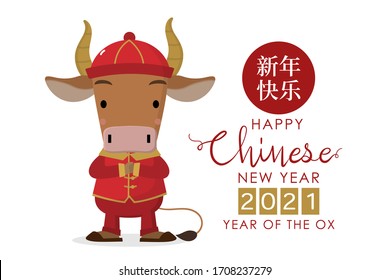 Happy Chinese new year greeting card. 2021 Ox zodiac. Cute cow in red costume. Animal holidays cartoon character. Translate: Happy New Year, Ox. -Vector