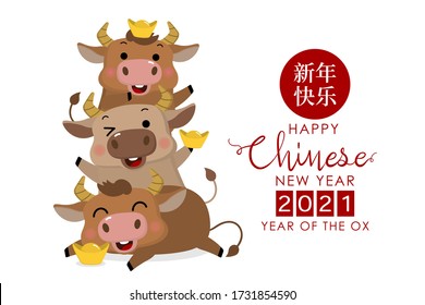 Happy Chinese new year greeting card. 2021, Year of the ox. Three cute bull, male cow and gold money. Animal holidays cartoon character. Translate: Happy New Year. -Vector