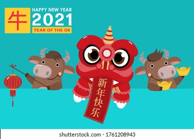 Happy Chinese new year greeting card. 2021 Ox zodiac. Cute cow with gold money and red lion dance. Animal holidays cartoon character. Translate: happy new year, ox. -Vector