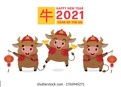 Happy Chinese new year greeting card. 2021 Ox zodiac. Cute cow with gold money and lantern. Animal holidays cartoon character. Translate: Ox. -Vector