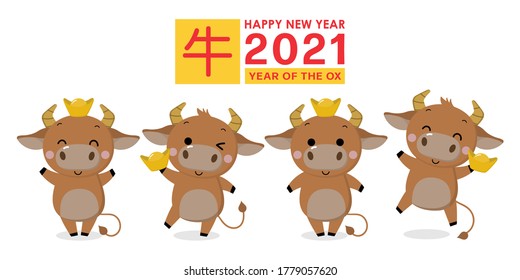 Happy Chinese new year greeting card. 2021 Ox zodiac. Cute cow with gold money on red background. Animal holidays cartoon character set. Translate: Ox. -Vector