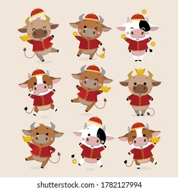 Happy Chinese new year greeting card. 2021 Ox zodiac. Cute cow in red costume and gold money. Animal holidays cartoon character. -Vector