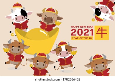 Happy Chinese new year greeting card. 2021 Ox zodiac. Cute cow in red costume and gold money. Animal holidays cartoon character. Translated: Ox. -Vector