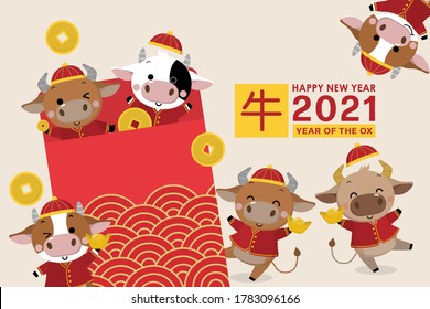 Happy Chinese new year greeting card. 2021 Ox zodiac. Cute cow in red costume and gold money. Animal holidays cartoon character. Translated: Ox. -Vector