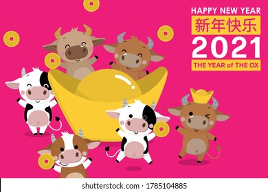 Happy Chinese new year greeting card. 2021 Ox zodiac. Cute cow in red costume and gold money. Animal holidays cartoon character. Translated: Happy new year. -Vector