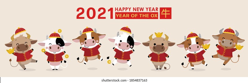 Happy Chinese new year greeting card. 2021 Ox zodiac. Cute cow in red costume and gold money. Animal holidays cartoon character. Translate: Ox. -Vector