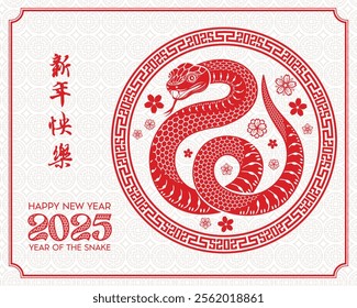 Happy Chinese new year of the snake (Translation : Happy new year )