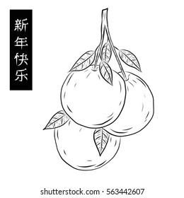 Happy chinese new year.Orange vector on white background.